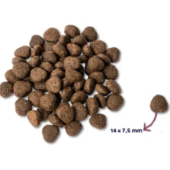 Renske Adult Zalm - Hondenvoer