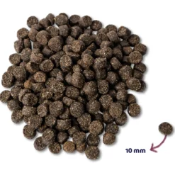 Renske Mighty Omega Plus Junior/Adult Lam&Rijst - Hondenvoer