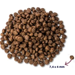 Renske Puppy - Hondenvoer