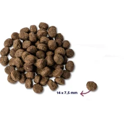 Renske Senior - Hondenvoer