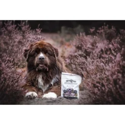 Riverwood Crunchy Farmers Pride - Hondensnacks - Eend Kalkoen Cranberry 200 g