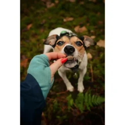 Riverwood Semi Moist Shepherds Friend - Hondensnacks - Lam Konijn 200 g