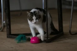 Robocat Pink Mouse - Kattenspeelgoed - Pink Groen Met Madnip