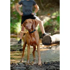 Rogz Air Tech Halsband Zwart&Donkerrood - Hondenhalsband