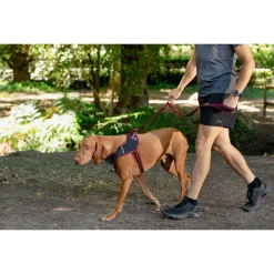 Rogz Air Tech Lijn Zwart&Donkerrood - Hondenriem