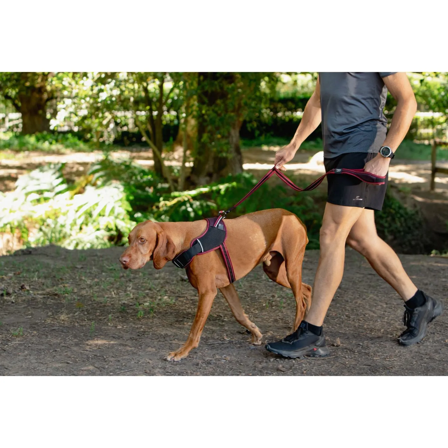 Rogz Air Tech Lijn Zwart&Donkerrood - Hondenriem