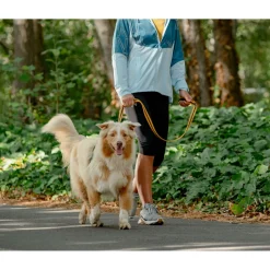 Rogz Air Tech Lijn Zwart&Oker - Hondenriem