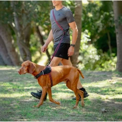 Rogz Air Tech Multi Lijn Zwart&Donkerrood - Hondenriem