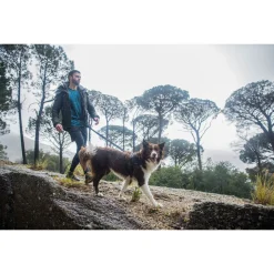 Rogz Air Tech Sport Riem & Lijn Zwart&Grijs - Hondenhalsbandset