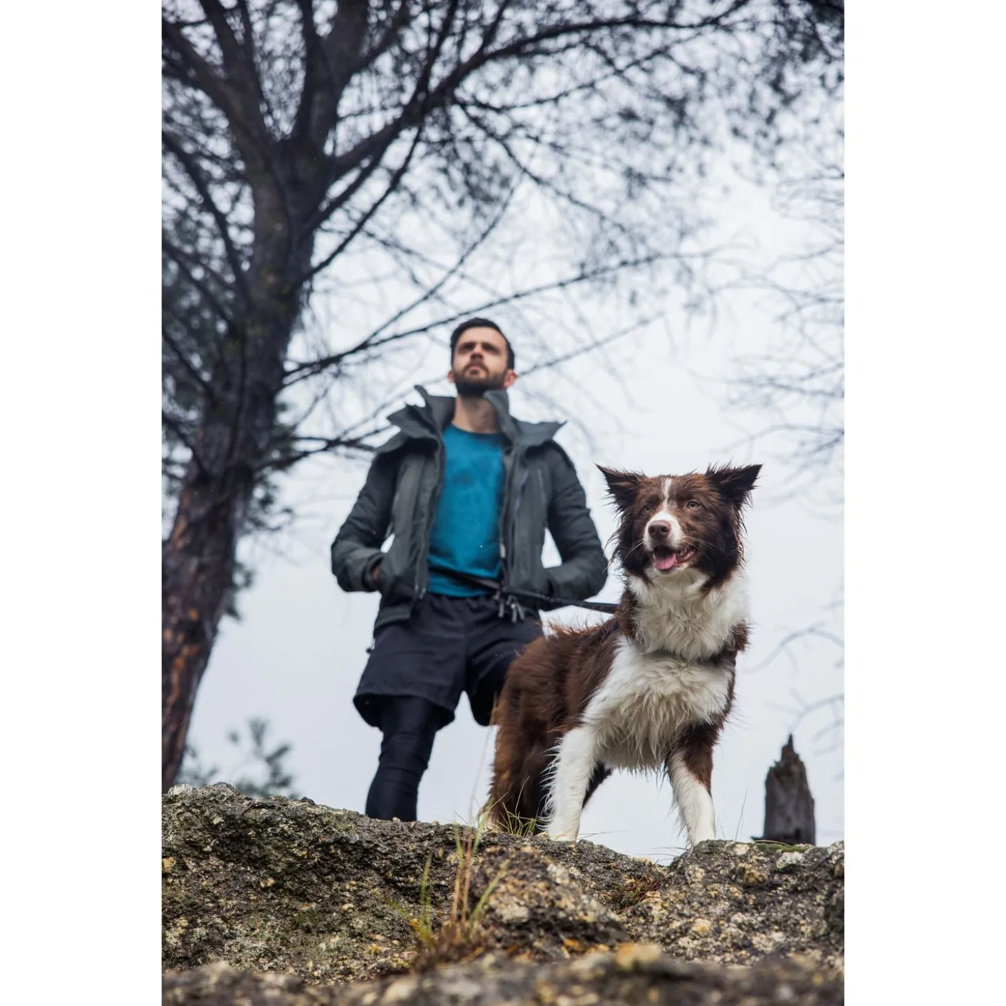 Rogz Air Tech Sport Riem & Lijn Zwart&Grijs - Hondenhalsbandset