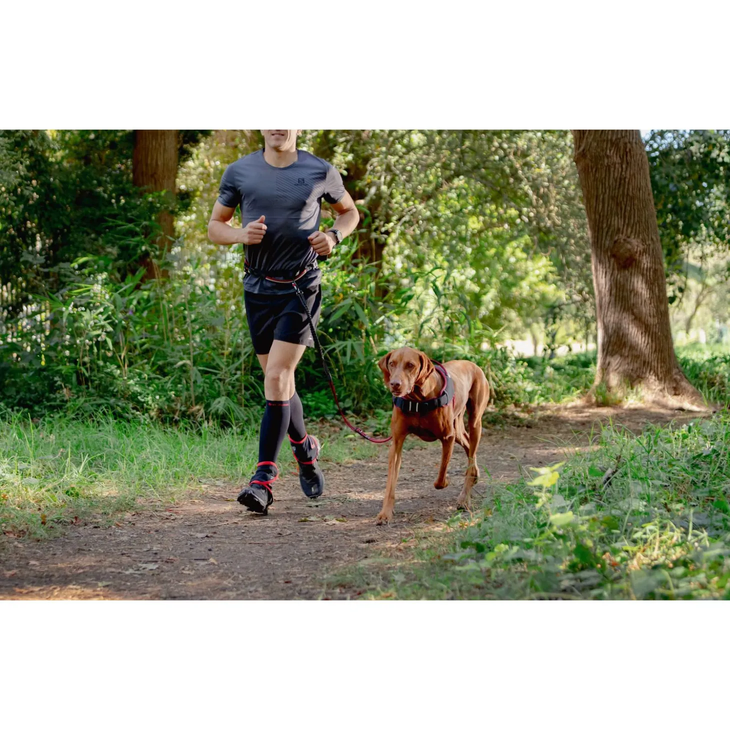 Rogz Air Tech Sport Riem & Lijn Zwart&Donkerrood - Hondenhalsbandset