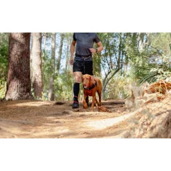 Rogz Air Tech Sport Riem & Lijn Zwart&Donkerrood - Hondenhalsbandset