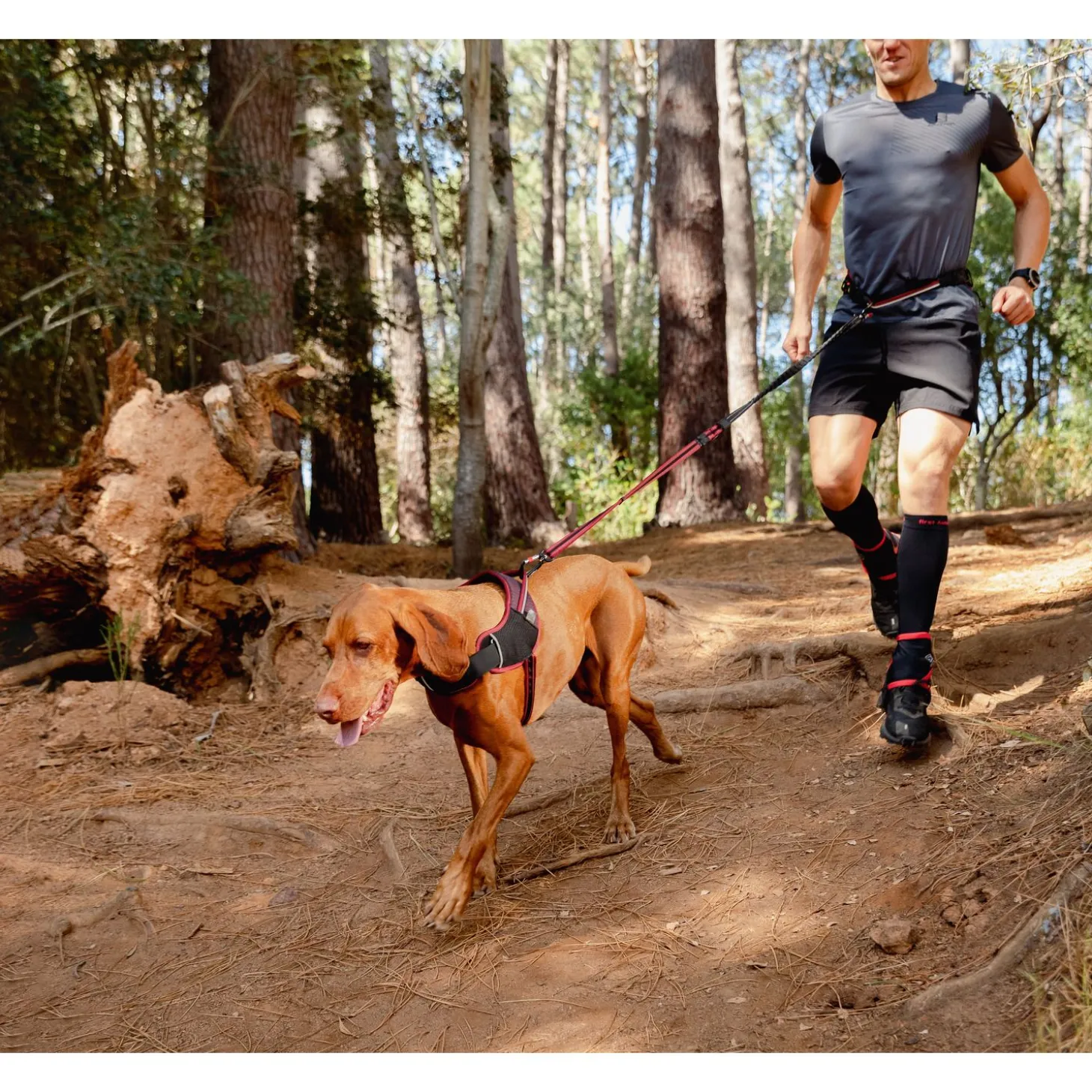 Rogz Air Tech Sport Riem & Lijn Zwart&Donkerrood - Hondenhalsbandset