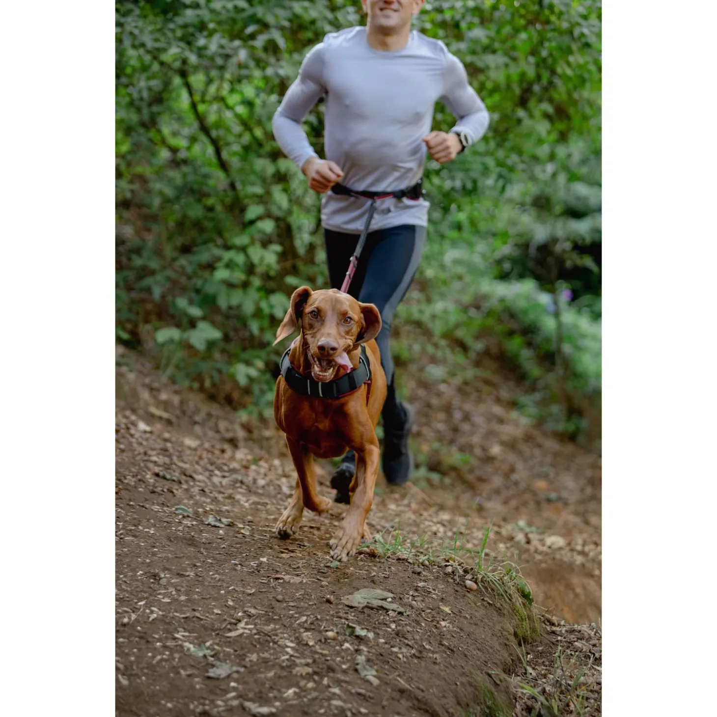 Rogz Air Tech Sport Riem & Lijn Zwart&Donkerrood - Hondenhalsbandset