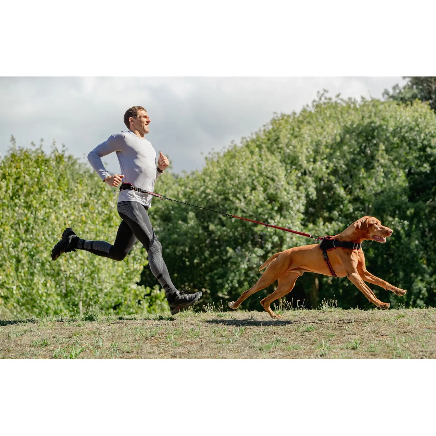 Rogz Air Tech Sport Riem & Lijn Zwart&Donkerrood - Hondenhalsbandset