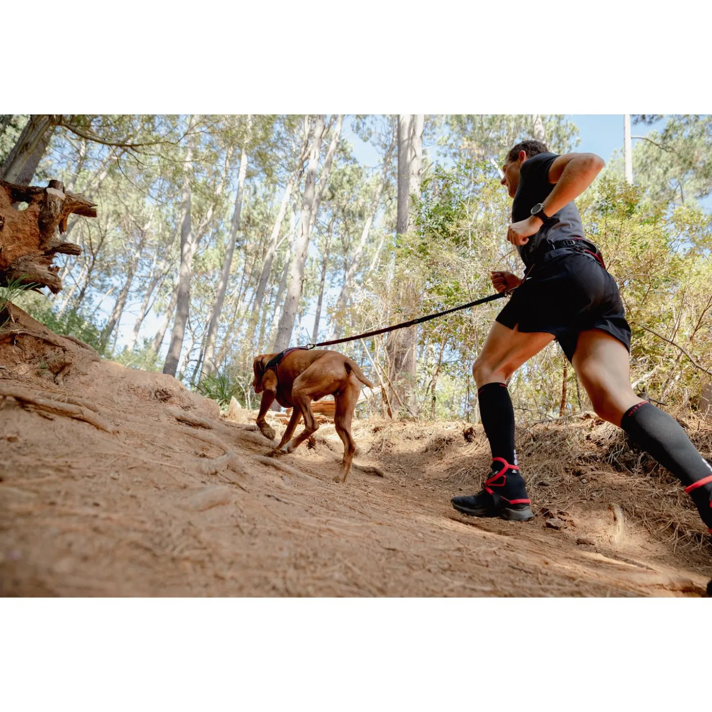 Rogz Air Tech Sport Riem & Lijn Zwart&Donkerrood - Hondenhalsbandset