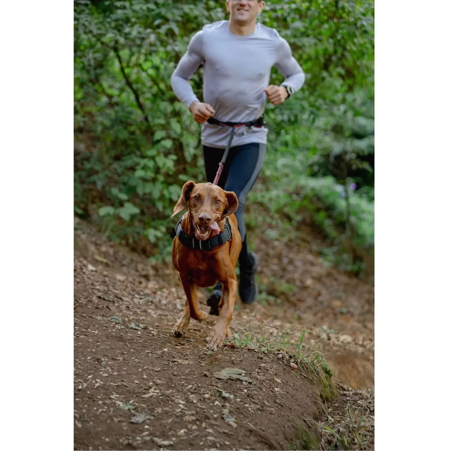 Rogz Air Tech Sport Tuig Zwart&Grijs - Hondenharnas