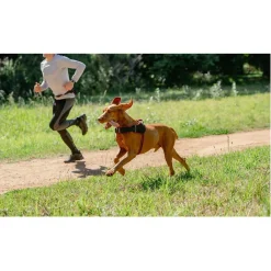 Rogz Air Tech Sport Tuig Zwart&Grijs - Hondenharnas