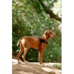 Rogz Air Tech Sport Tuig Zwart&Grijs - Hondenharnas