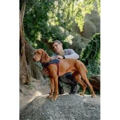 Rogz Air Tech Sport Tuig Zwart&Grijs - Hondenharnas