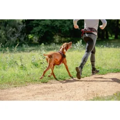 Rogz Air Tech Sport Tuig Zwart&Donkerrood - Hondenharnas