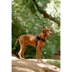 Rogz Air Tech Sport Tuig Zwart&Donkerrood - Hondenharnas