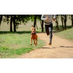 Rogz Air Tech Sport Tuig Zwart&Donkerrood - Hondenharnas