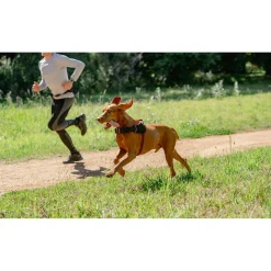 Rogz Air Tech Sport Tuig Zwart&Donkerrood - Hondenharnas