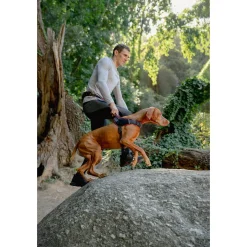 Rogz Air Tech Sport Tuig Zwart&Donkerrood - Hondenharnas