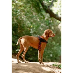 Rogz Air Tech Sport Tuig Zwart&Donkerrood - Hondenharnas