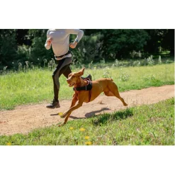 Rogz Air Tech Sport Tuig Zwart&Oker - Hondenharnas