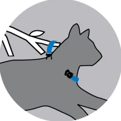 Rogz Alleycat Halsband Dayglo - Kattenhalsband