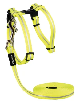 Rogz Alleycat Tuigje Met Looplijn Dayglo - Kattenharnas