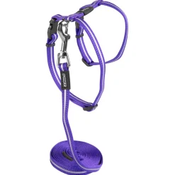 Rogz Alleycat Tuigje Met Looplijn Paars - Kattenharnas