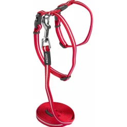 Rogz Alleycat Tuigje Met Looplijn Rood - Kattenharnas