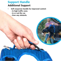 Rogz Explore Tuig Gevoerd Blauw - Hondenharnas