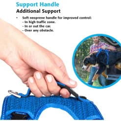 Rogz Explore Tuig Gevoerd Zwart - Hondenharnas