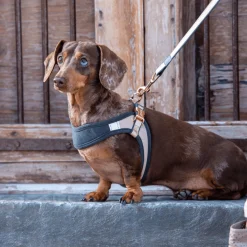 Rogz Urban Fast Fit Tuig Roze&Grijs&Rosé - Hondenharnas