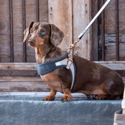 Rogz Urban Fast Fit Tuig Roze&Grijs&Rosé - Hondenharnas