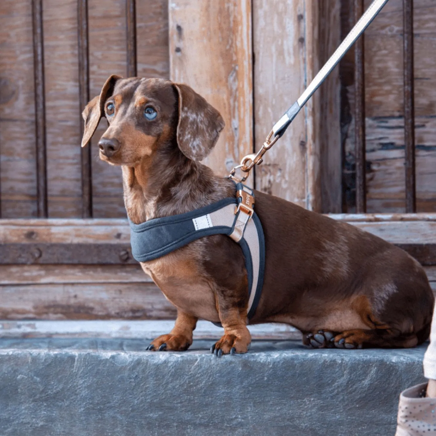 Rogz Urban Fast Fit Tuig Roze&Grijs&Rosé - Hondenharnas