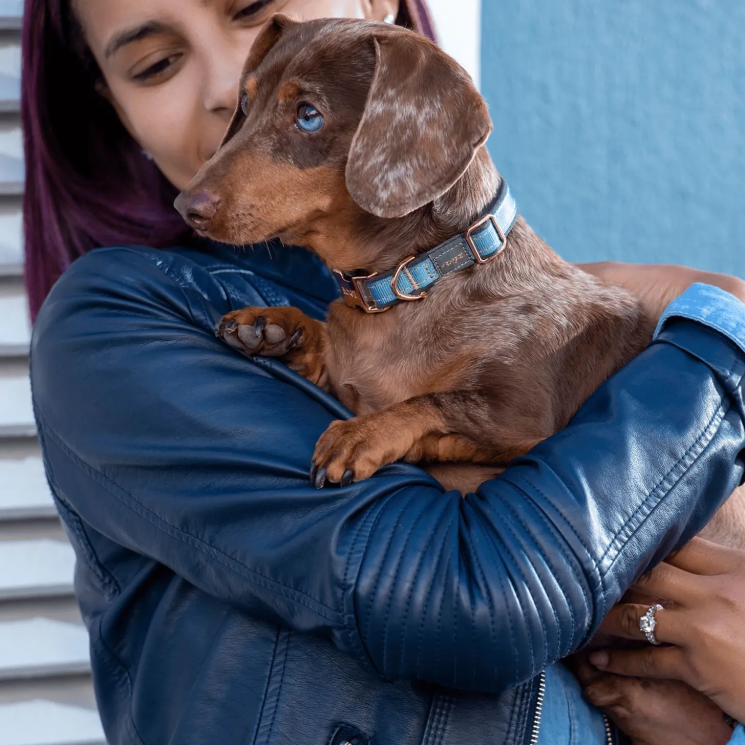 Rogz Urban Halsband Turquoise&Grijs&Rosé - Hondenhalsband