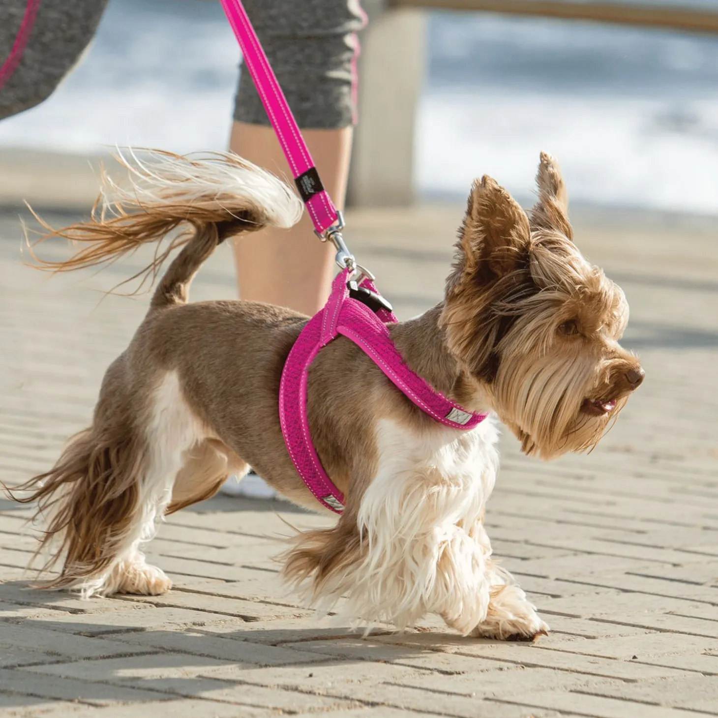 Rogz Utility Fast Fit Tuig Blauw - Hondenharnas