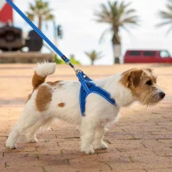 Rogz Utility Fast Fit Tuig Zwart - Hondenharnas