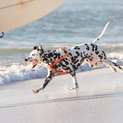 Rogz Utility Step-In Tuig - Hondenharnas - Bruin 27-38x1.1 Cm S