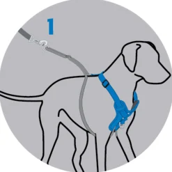 Rogz Utility Stop Pull Tuig Zwart - Hondenharnas