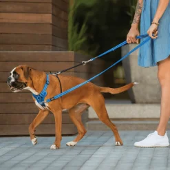 Rogz Utility Stop Pull Tuig Zwart - Hondenharnas