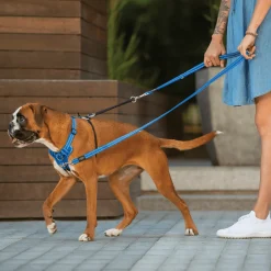 Rogz Utility Stop Pull Tuig Zwart - Hondenharnas