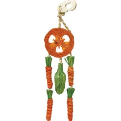 Rosewood Naturals Carrot Dream Catcher - Knaagdiersnack - 9x3x35 cm