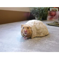 Rosewood Snowy Hamster Igloo - Kooi Accessoire - 14.5x17x7 cm Wit