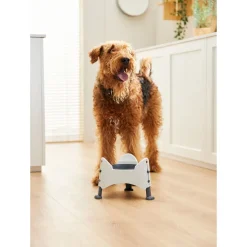 Rotho Mypet Sammy - Verstelbaar - Hondenvoerbak - 1.02 l Wit